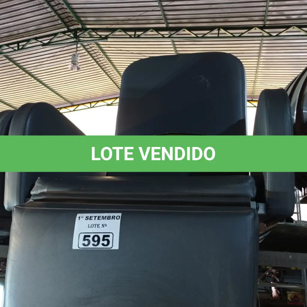 LOTE 595