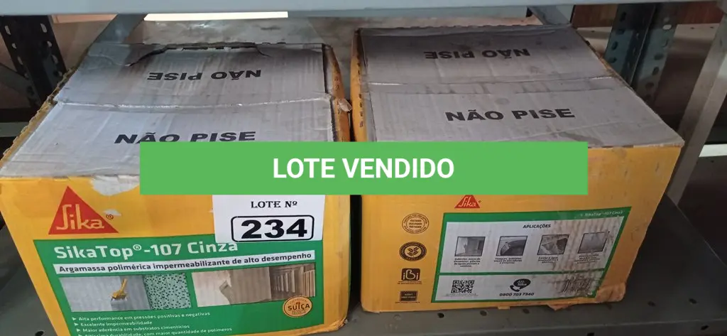LOTE 234