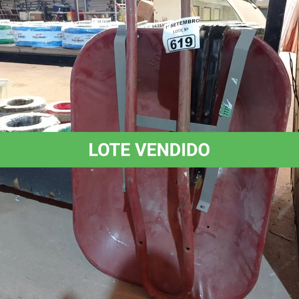 LOTE 619
