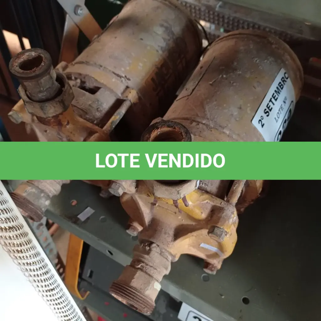 LOTE 229