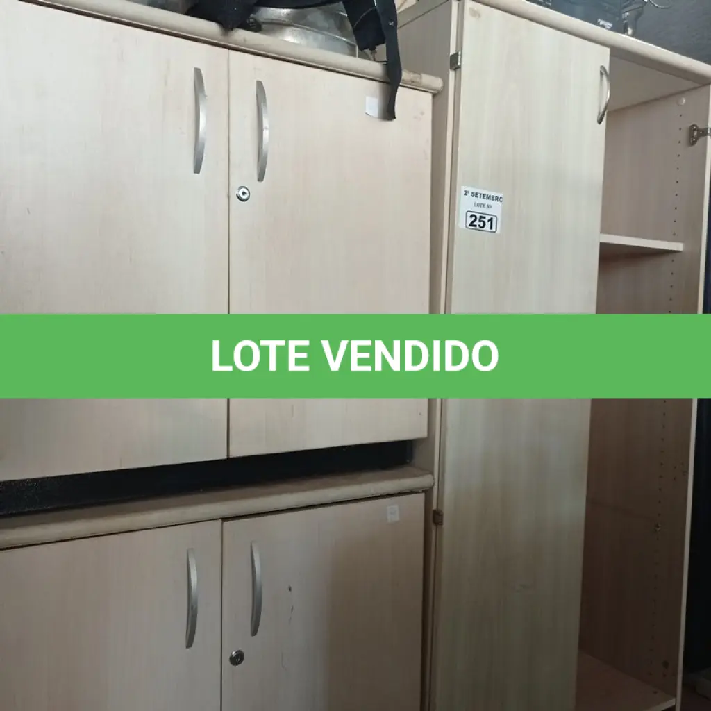 LOTE 251