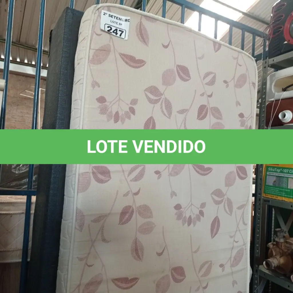LOTE 247