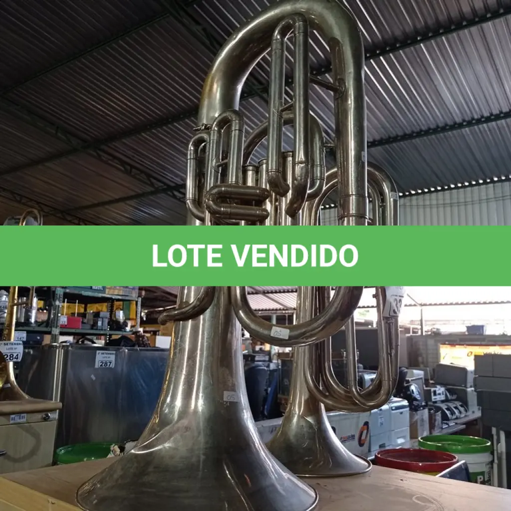 LOTE 331