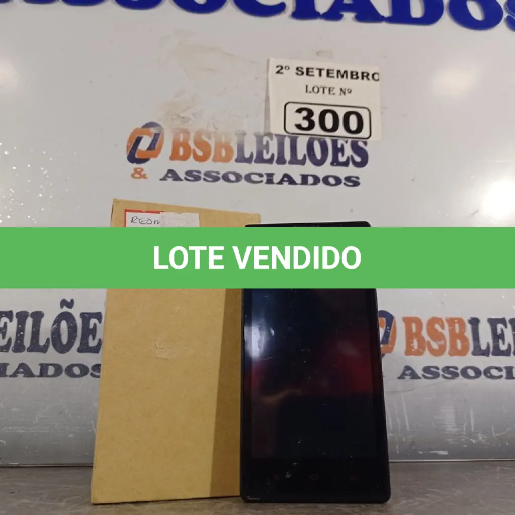 LOTE 300