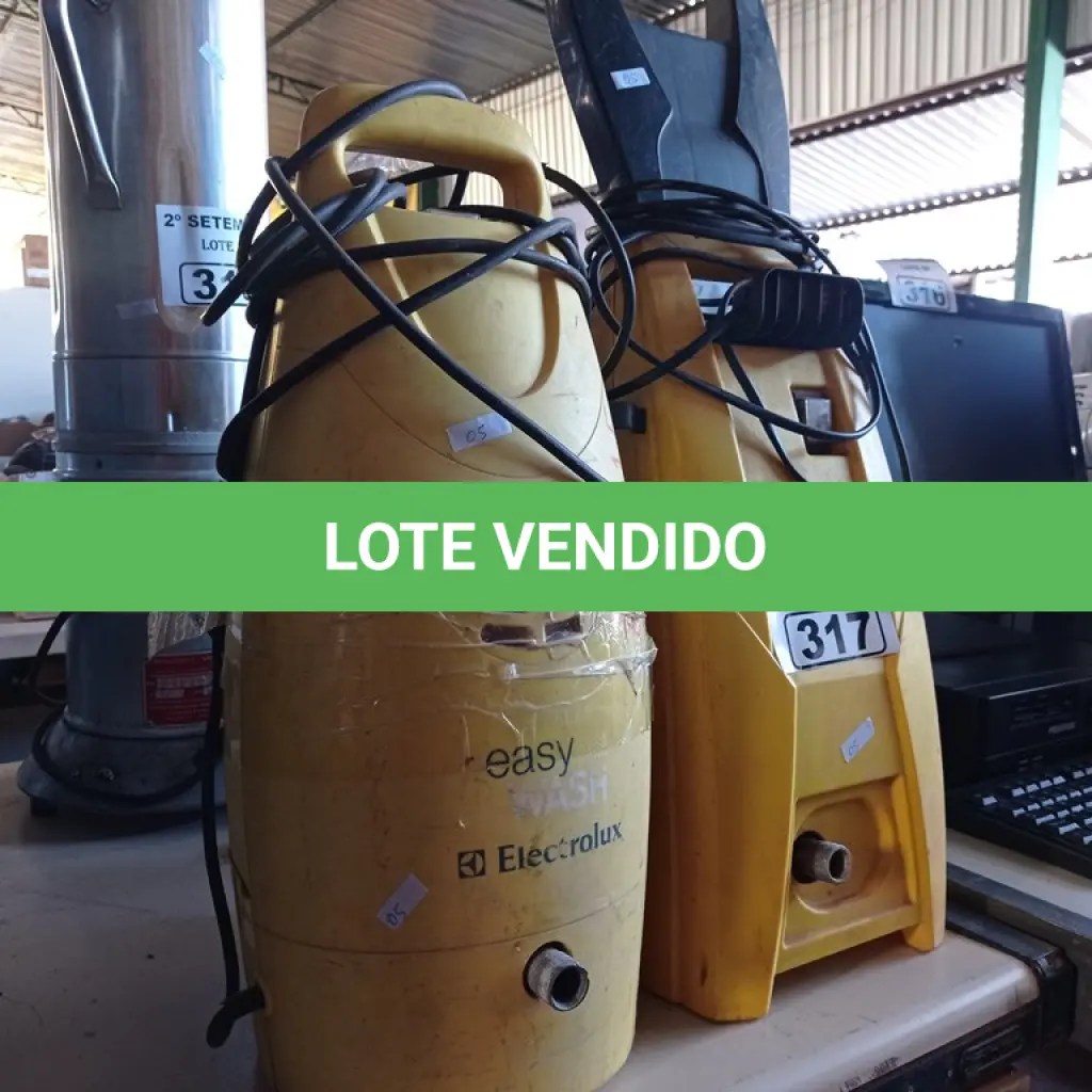 LOTE 317