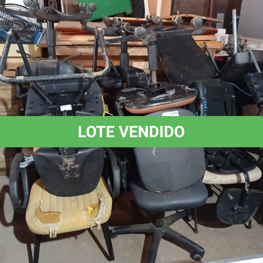 LOTE 536