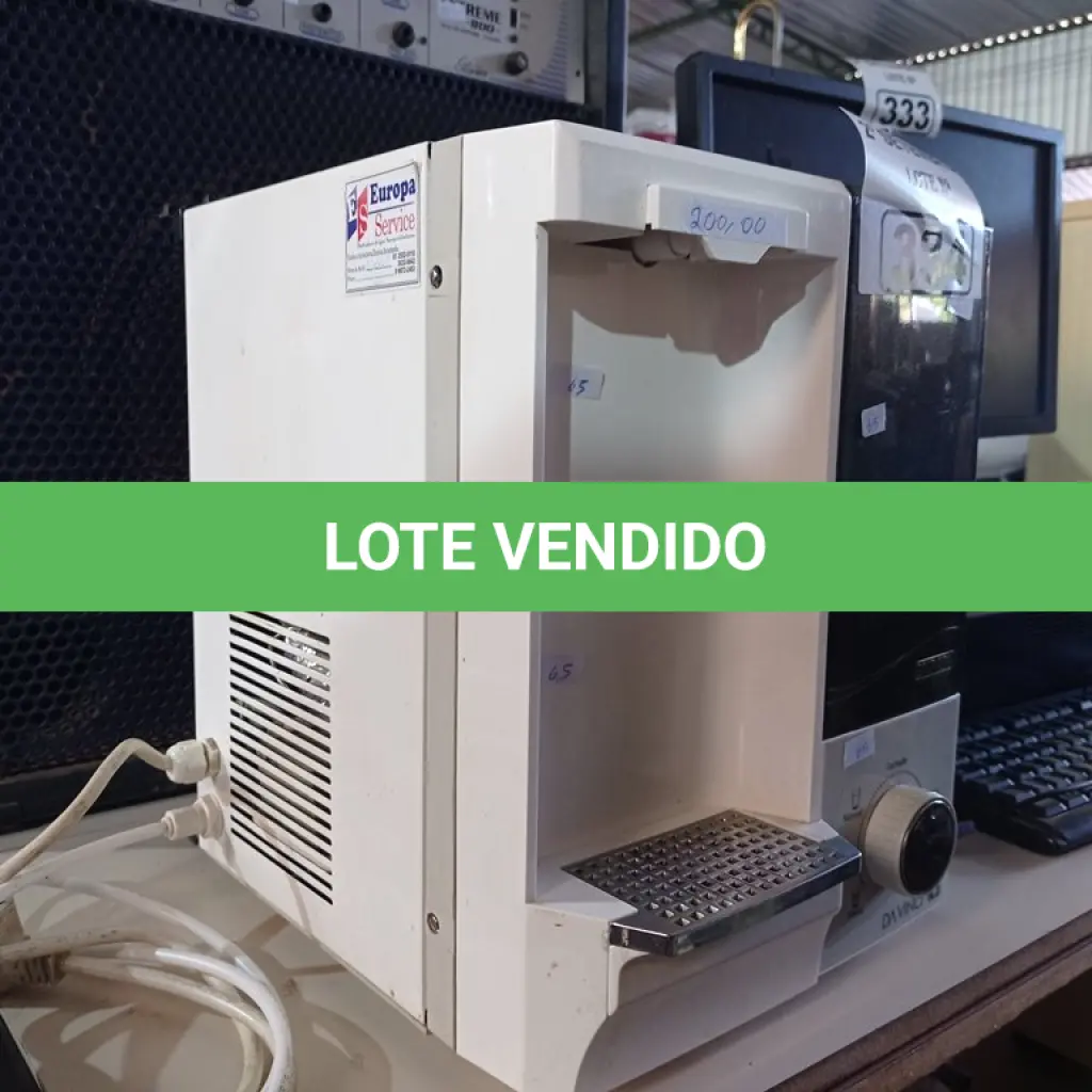 LOTE 334