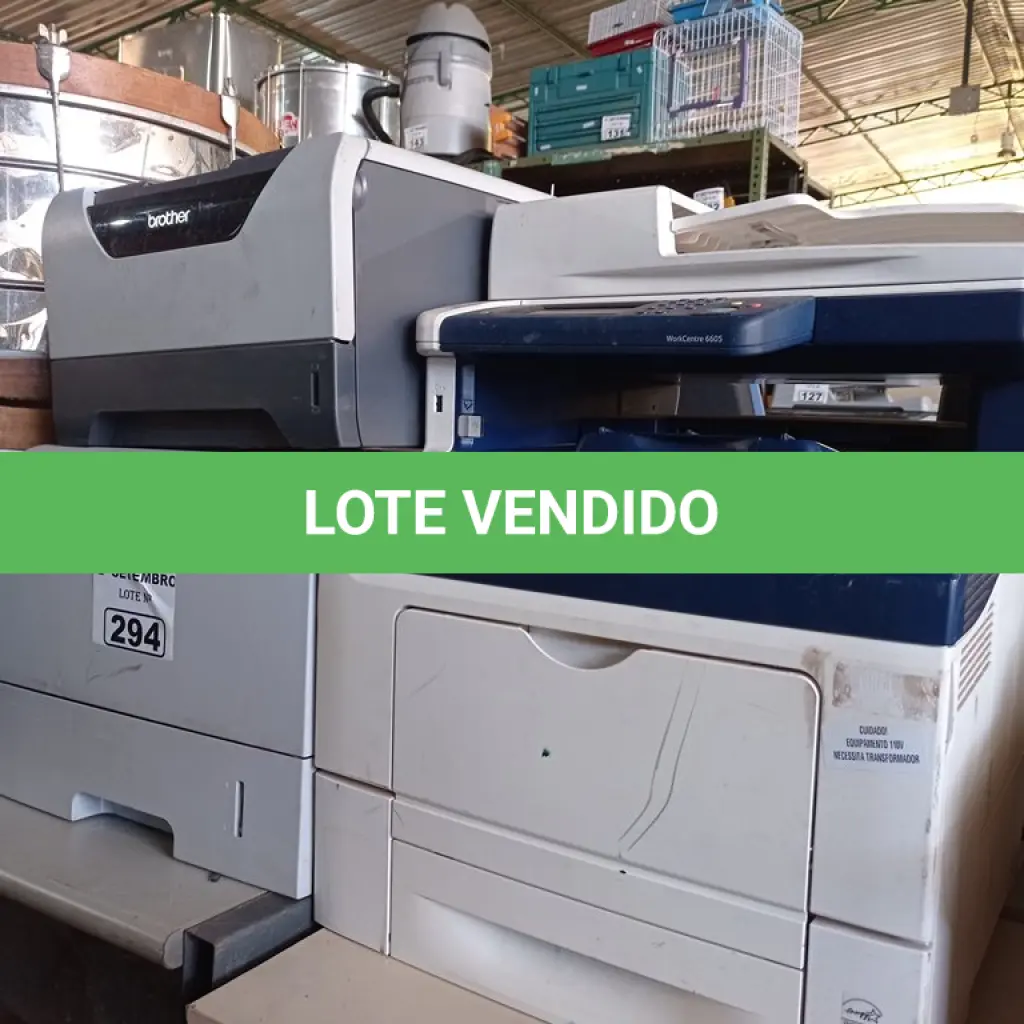 LOTE 294