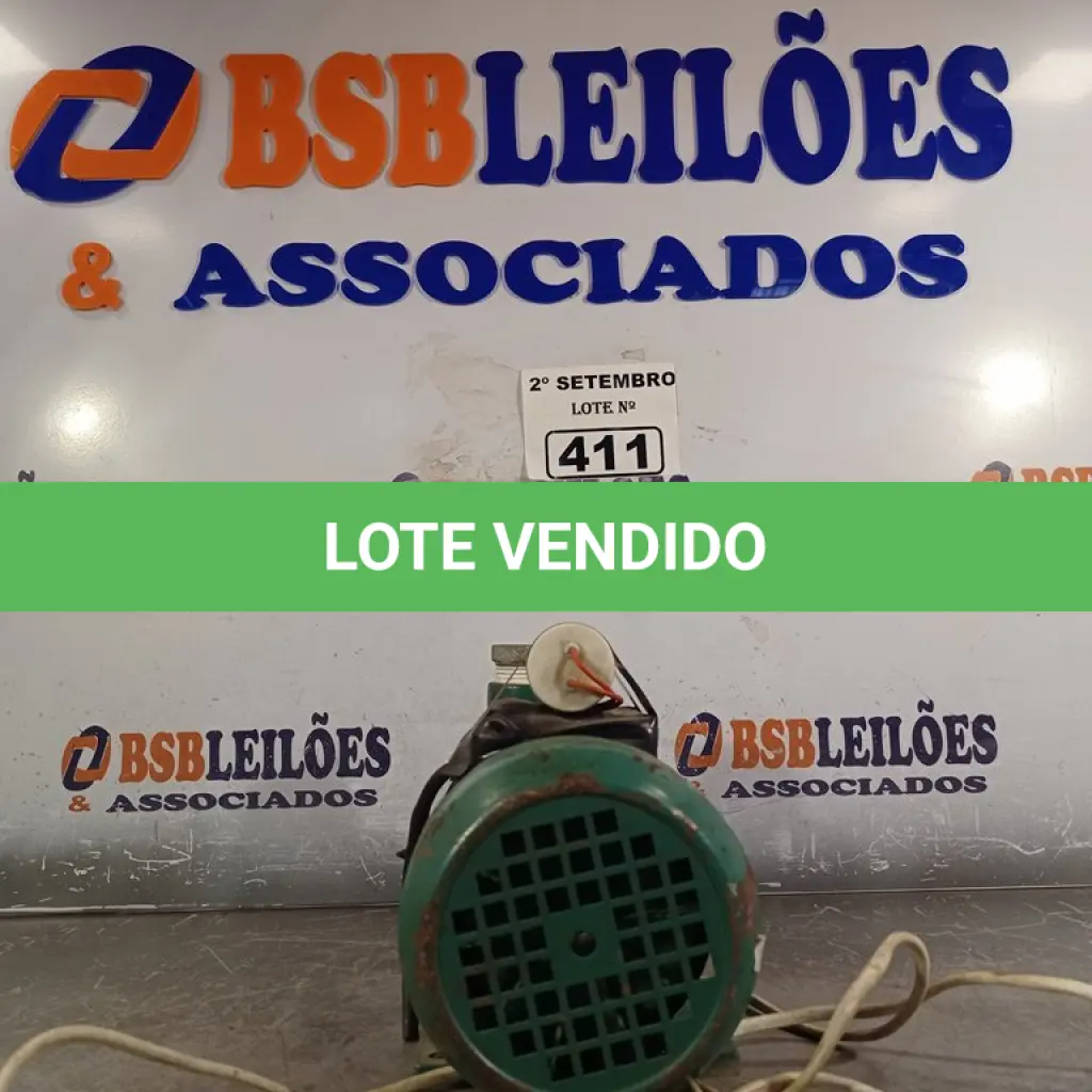 LOTE 411
