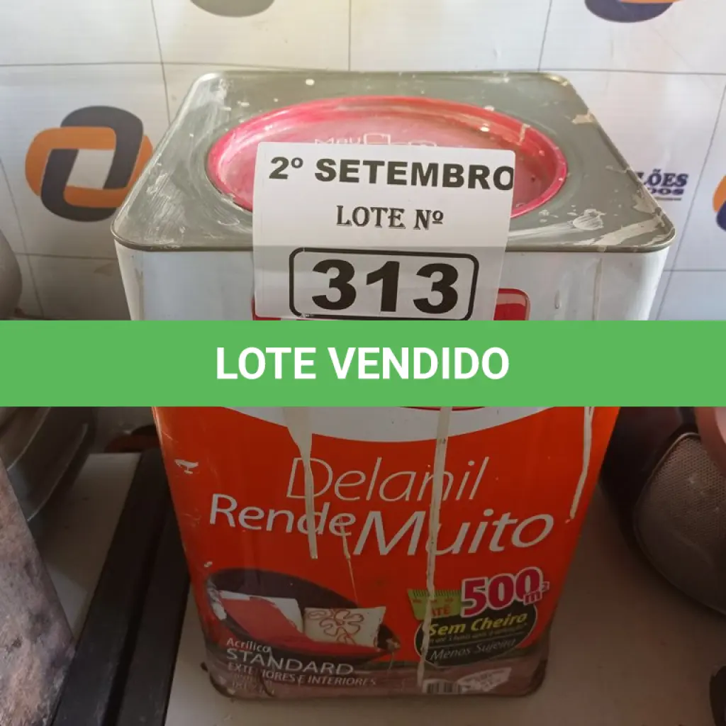 LOTE 313