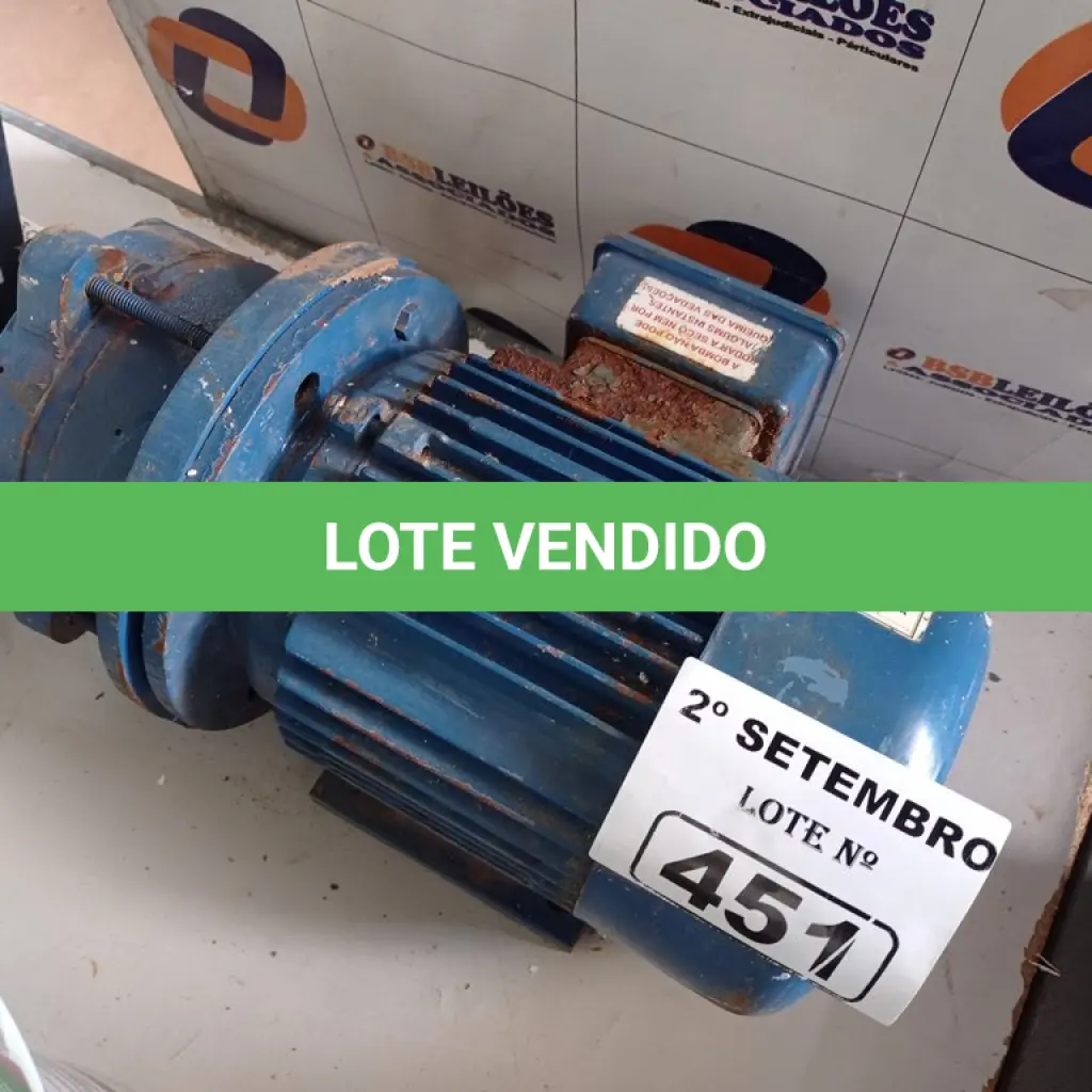 LOTE 451