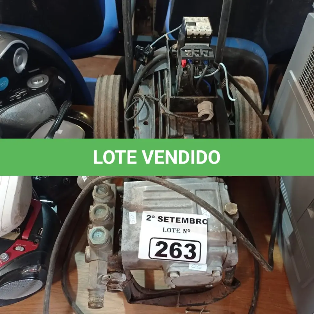 LOTE 263