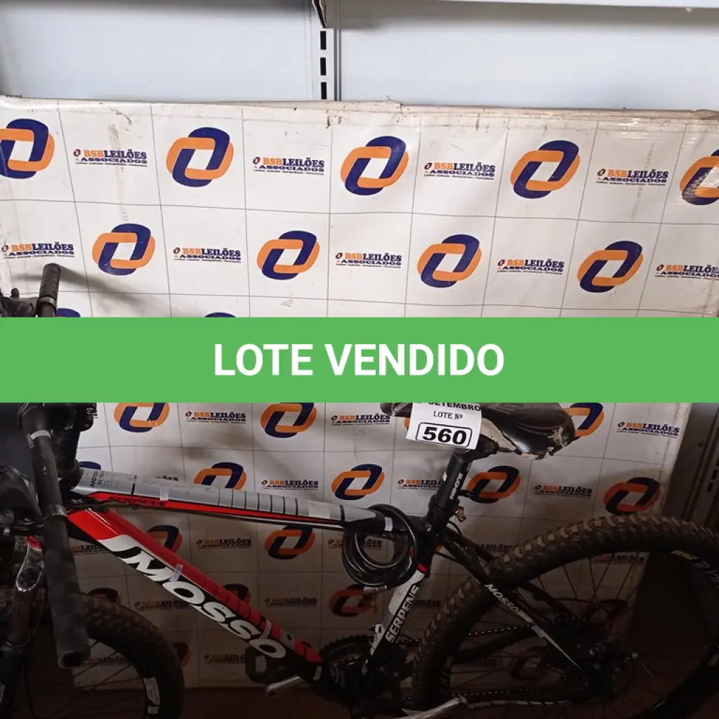 LOTE 560