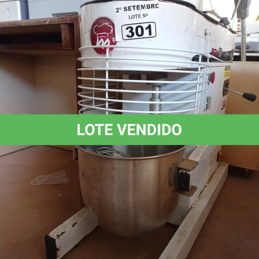 LOTE 301