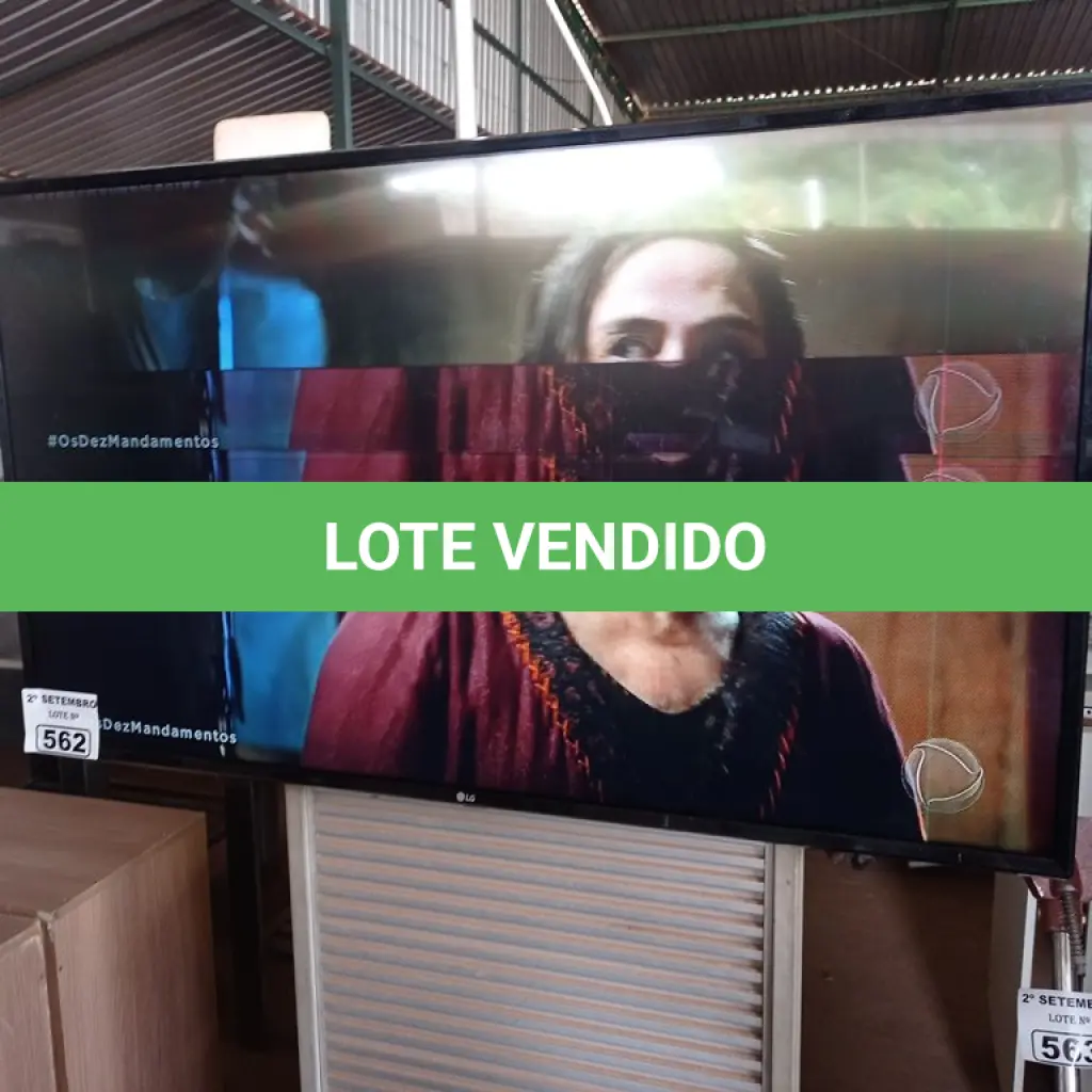 LOTE 562