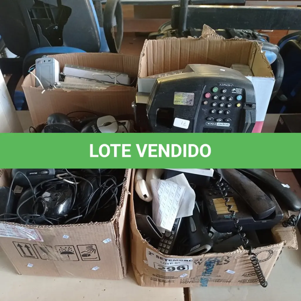 LOTE 296