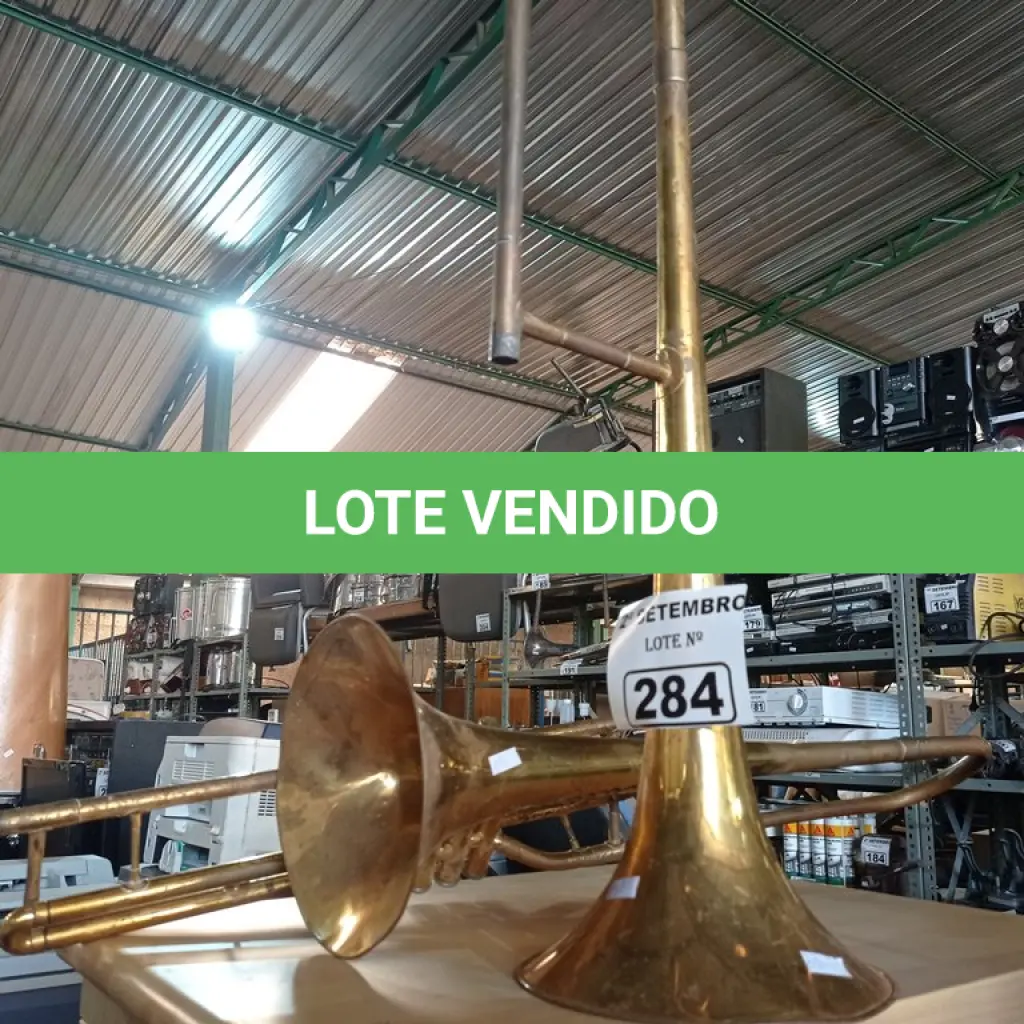 LOTE 284