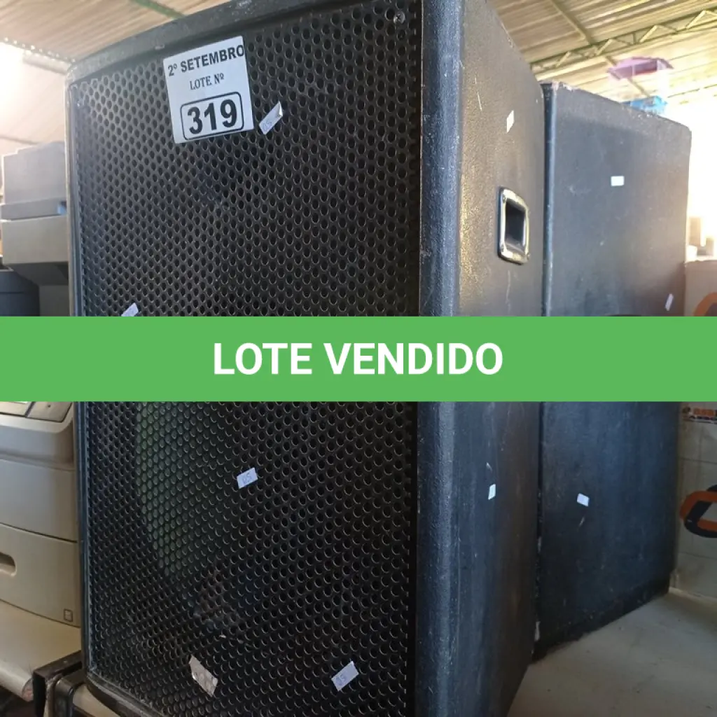 LOTE 319