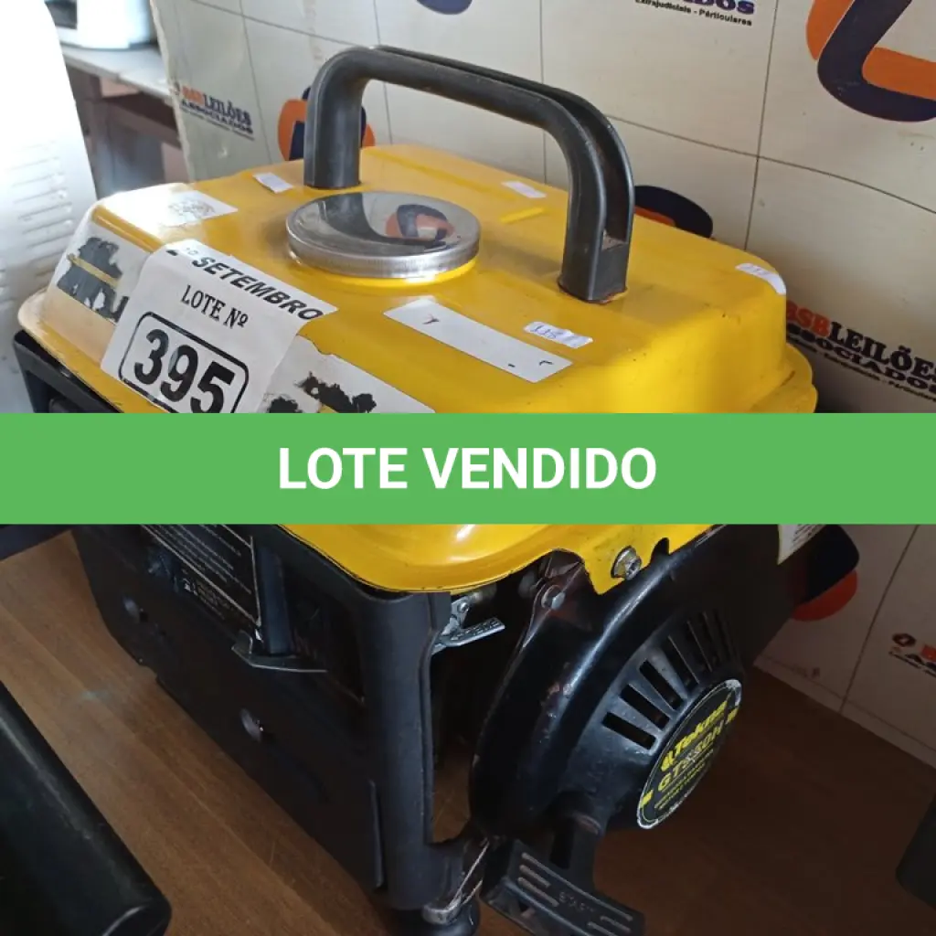 LOTE 395