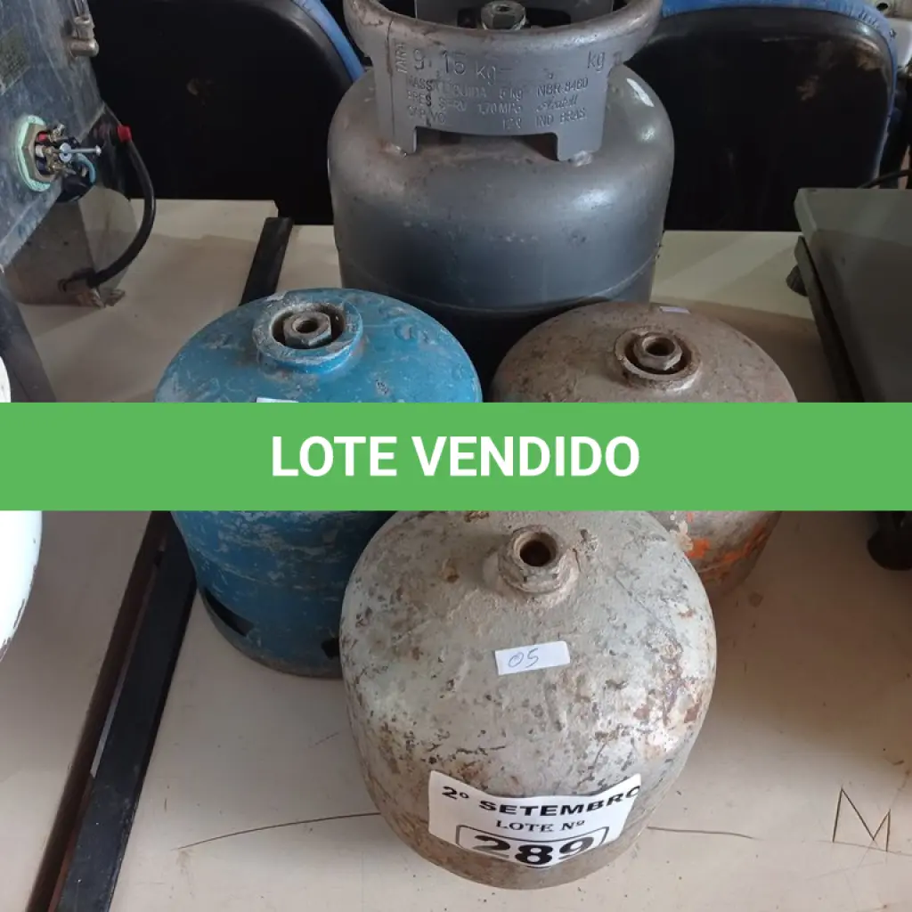 LOTE 289