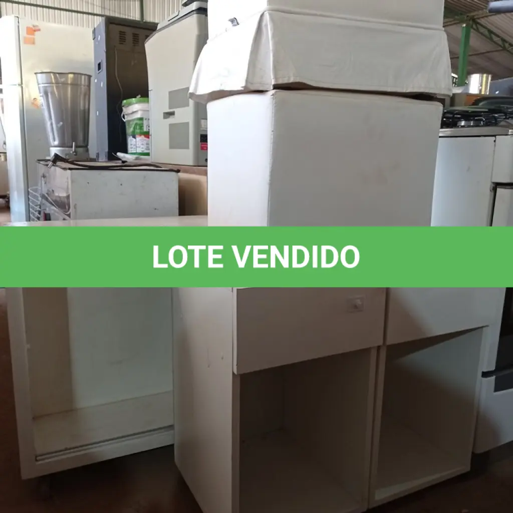 LOTE 303