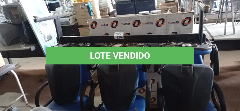 LOTE 529