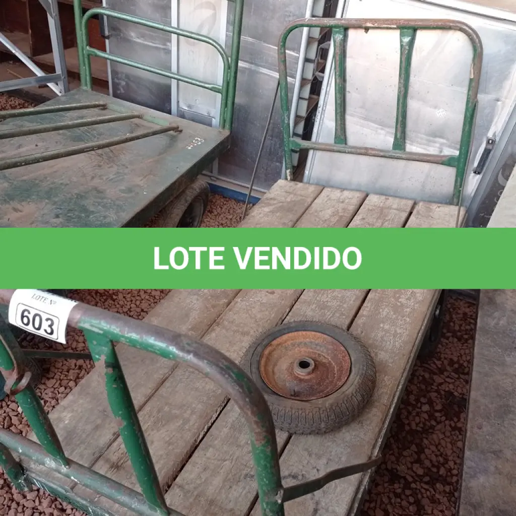 LOTE 603