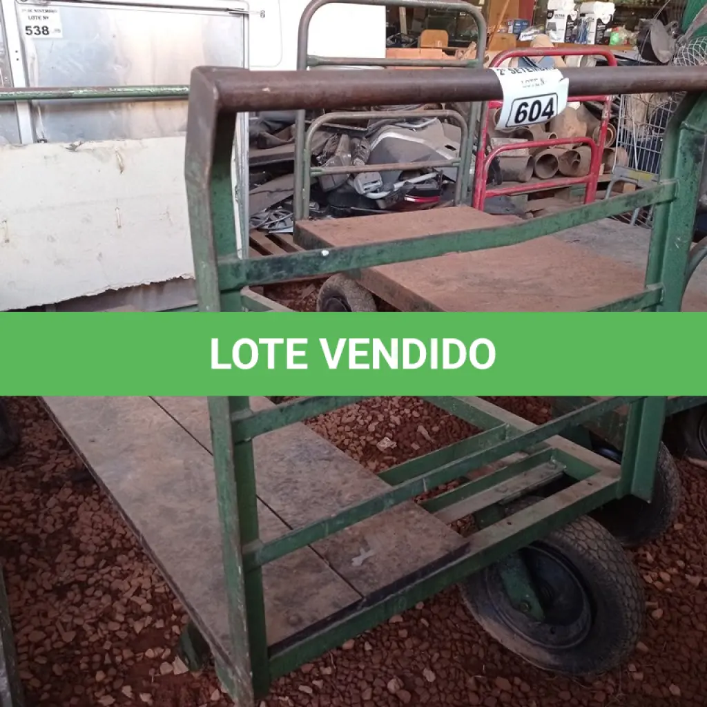 LOTE 604