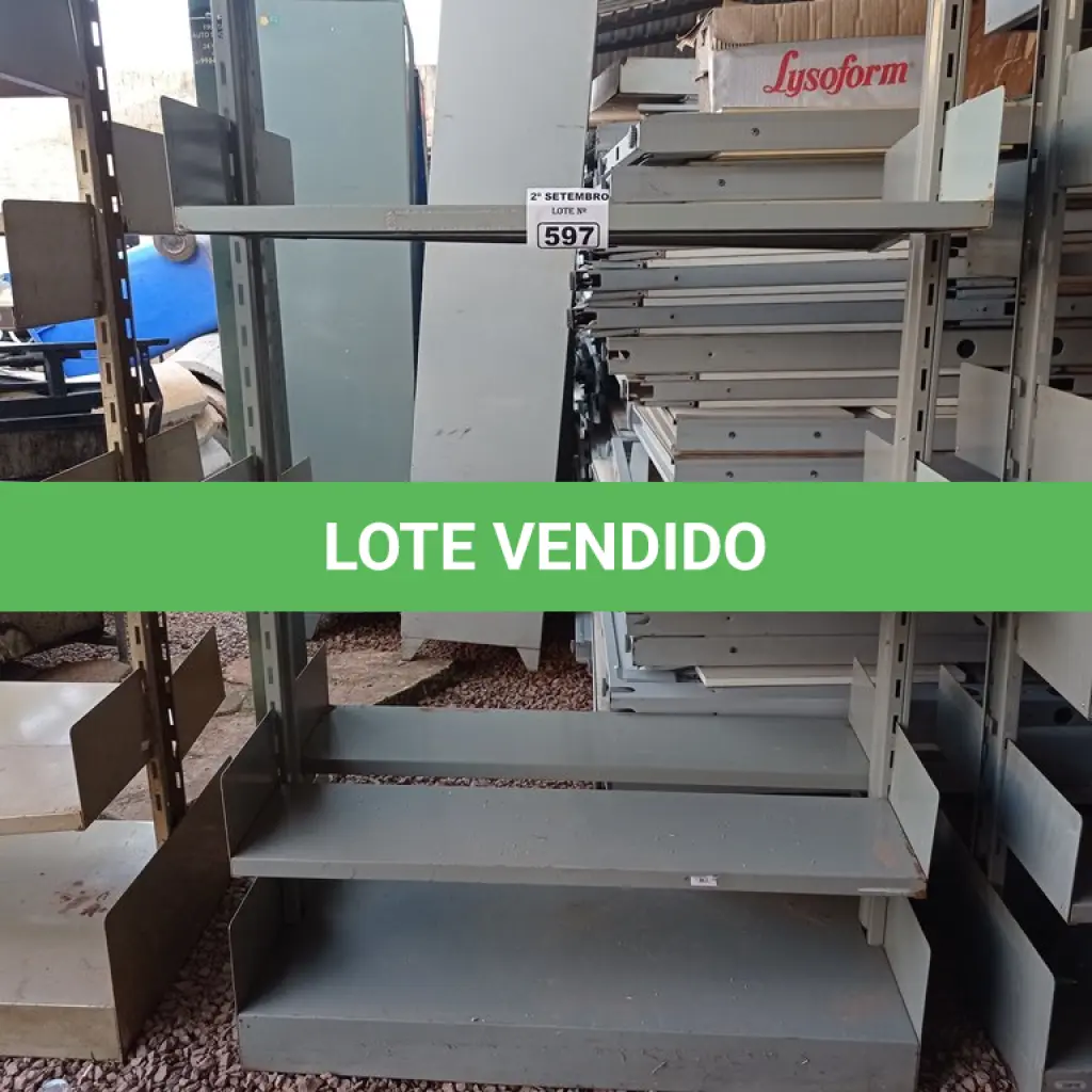 LOTE 597