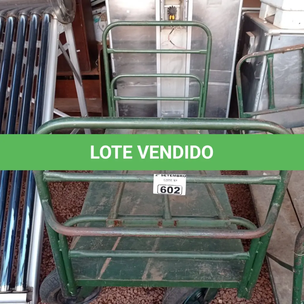 LOTE 602