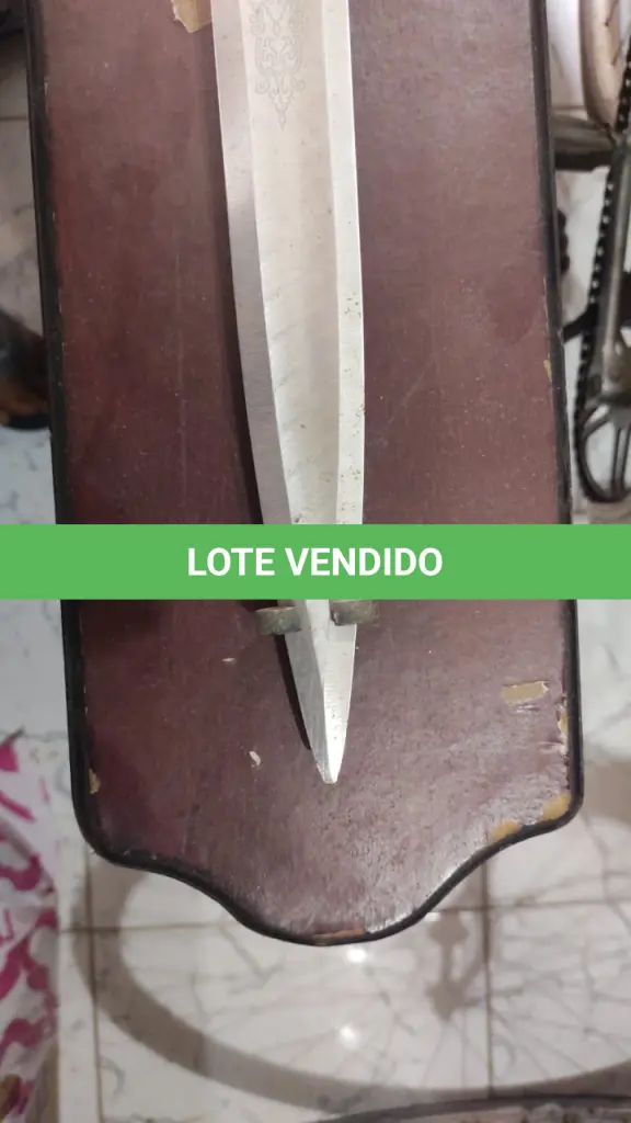 LOTE 160