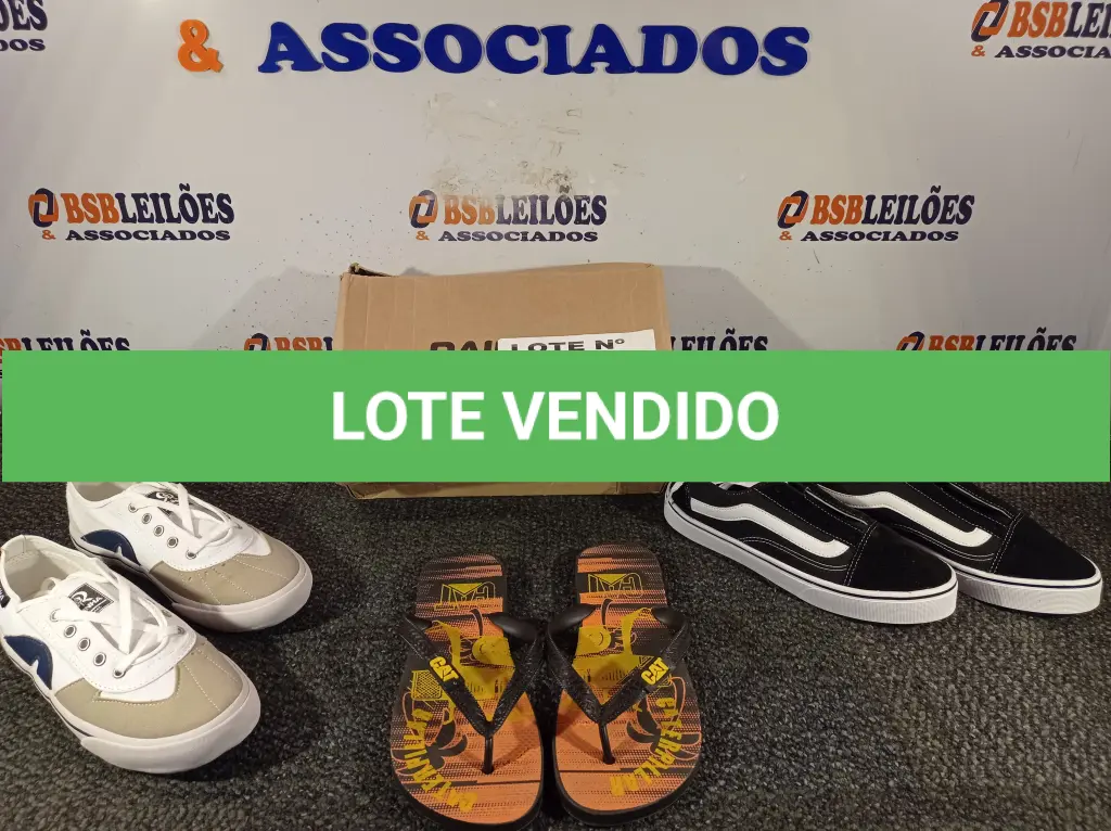 LOTE 243