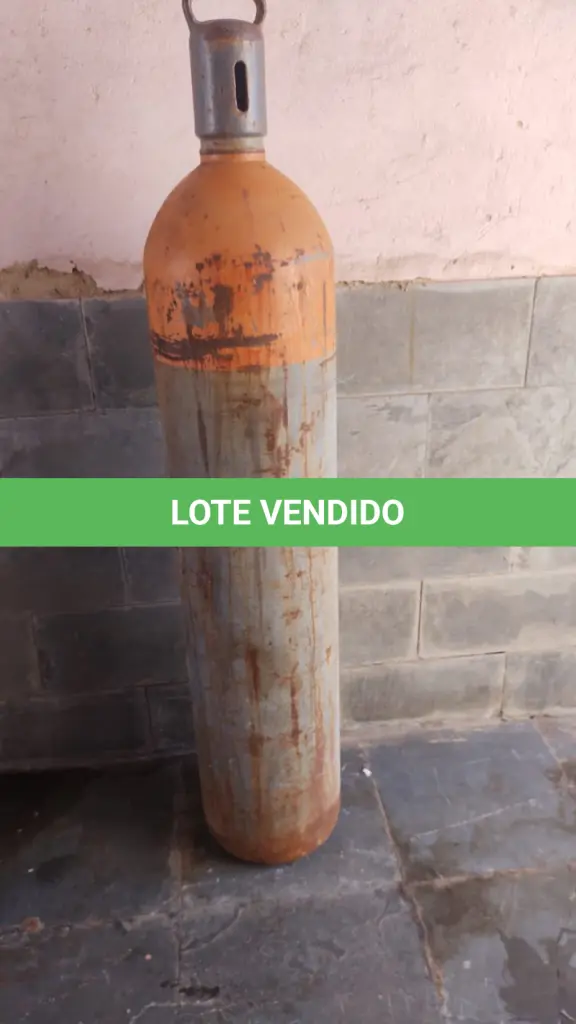 LOTE 361