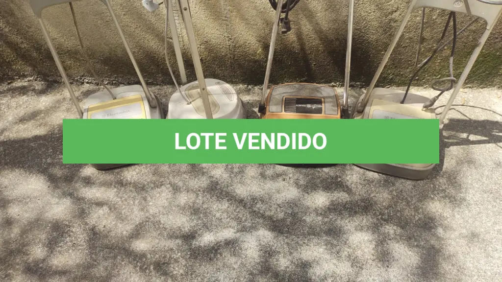 LOTE 516