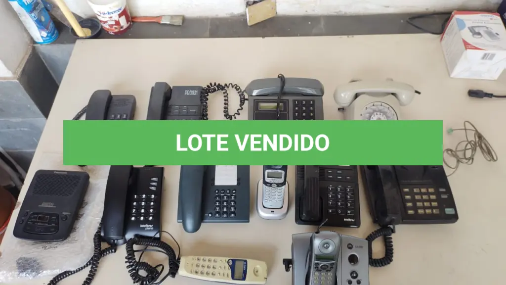LOTE 494