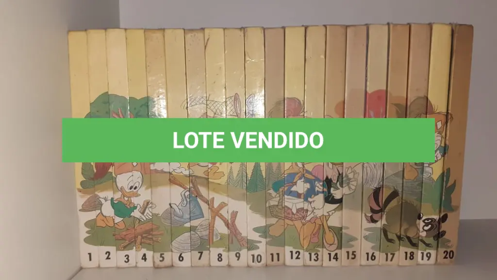 LOTE 595