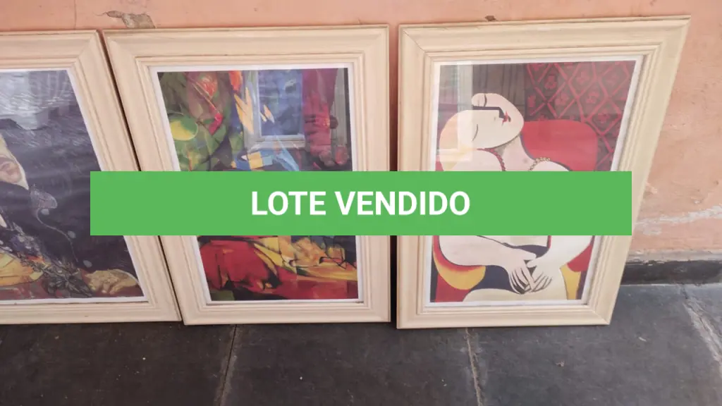 LOTE 522