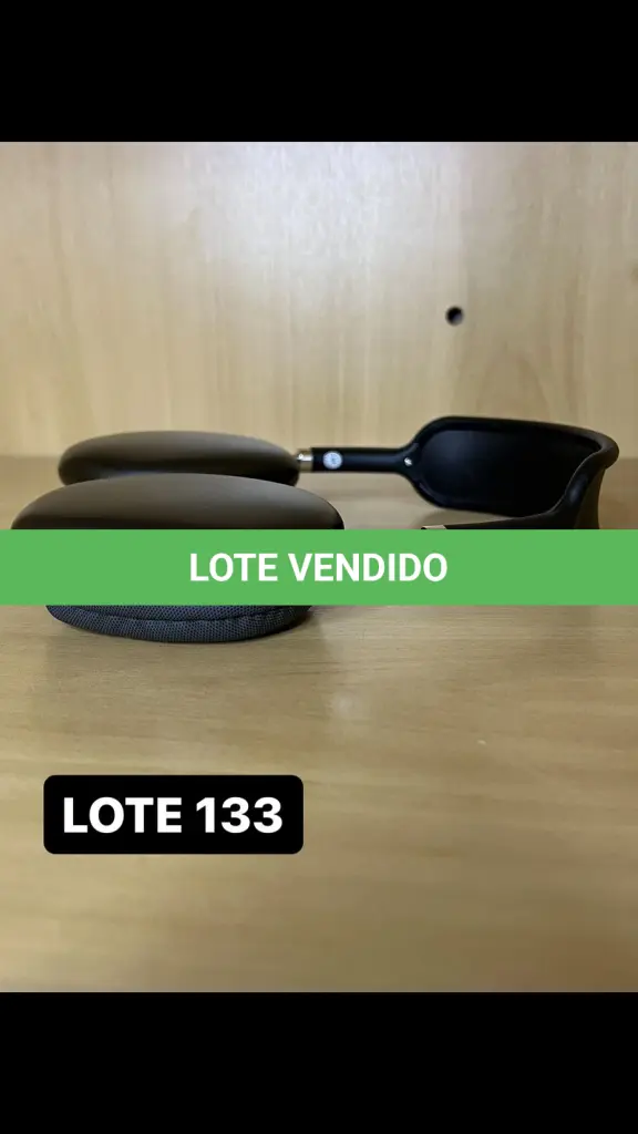 LOTE 133