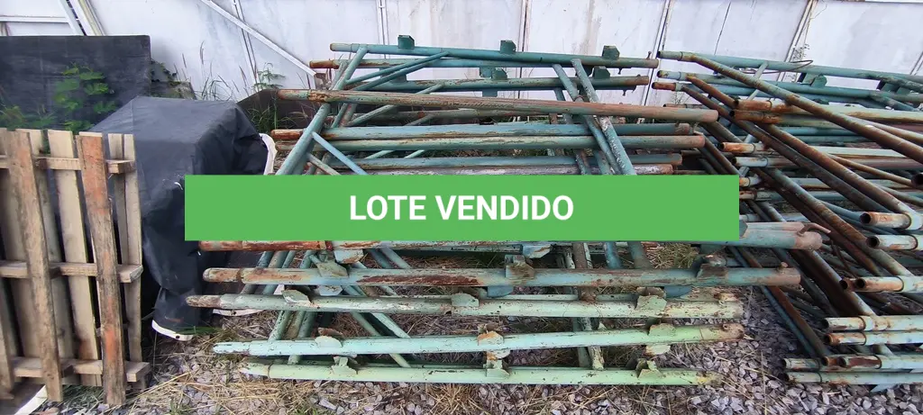 LOTE 262