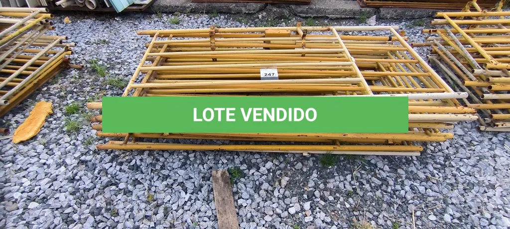 LOTE 247
