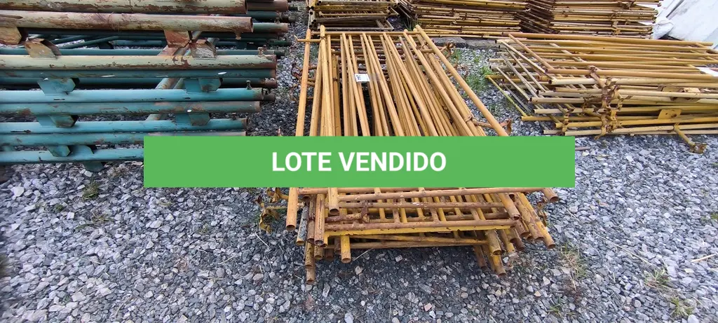 LOTE 244