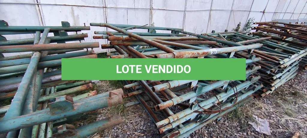 LOTE 263