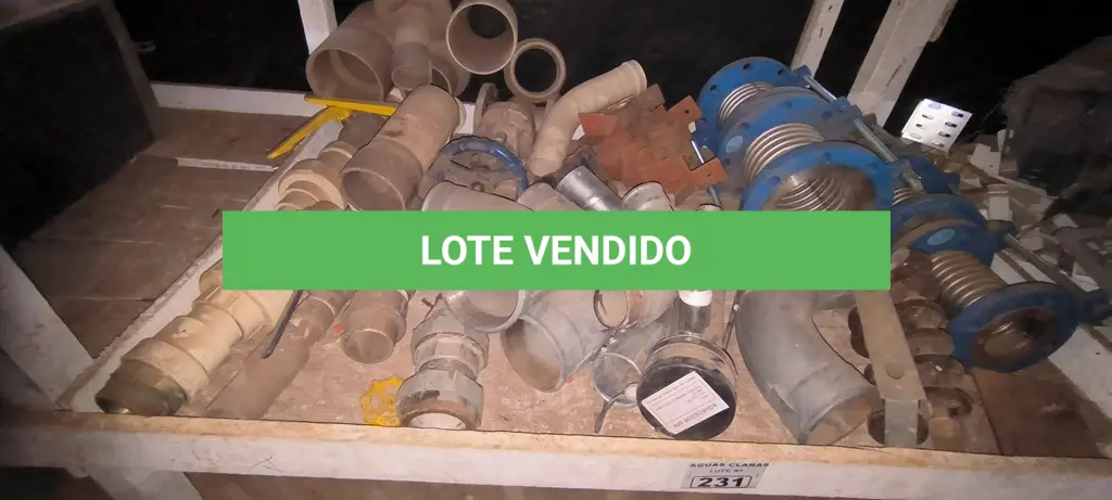 LOTE 231