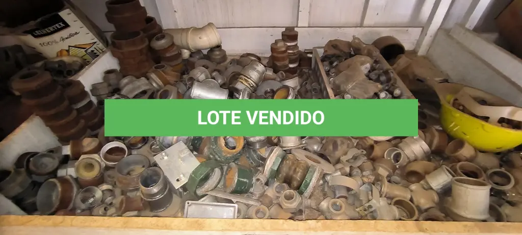 LOTE 060