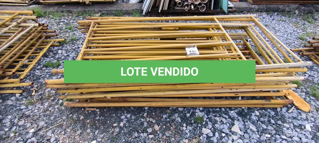 LOTE 246
