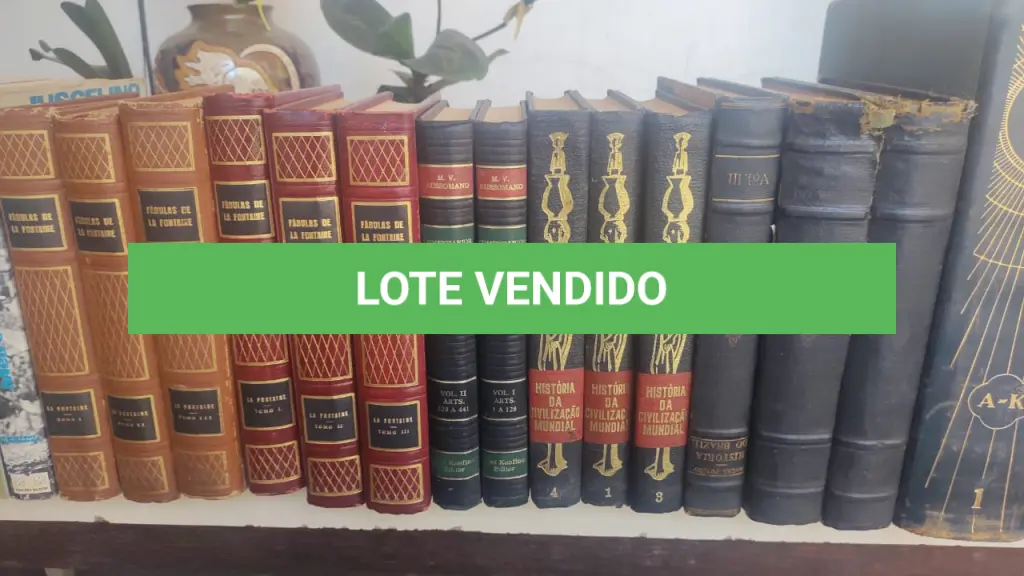LOTE 638