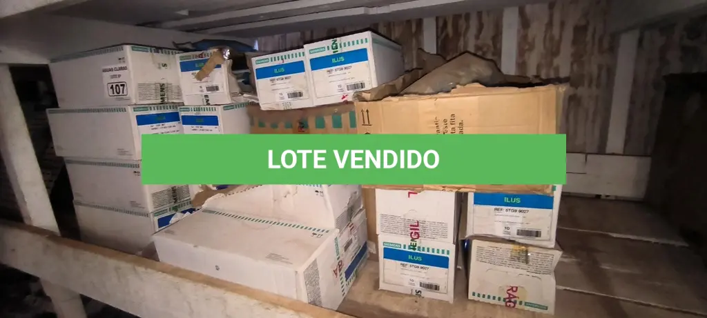 LOTE 107