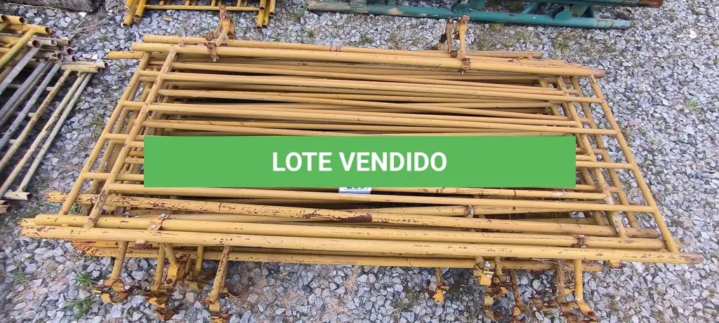 LOTE 239