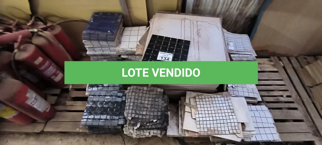 LOTE 134