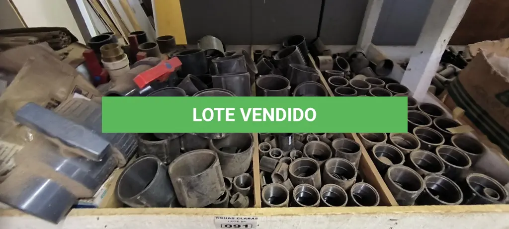 LOTE 091